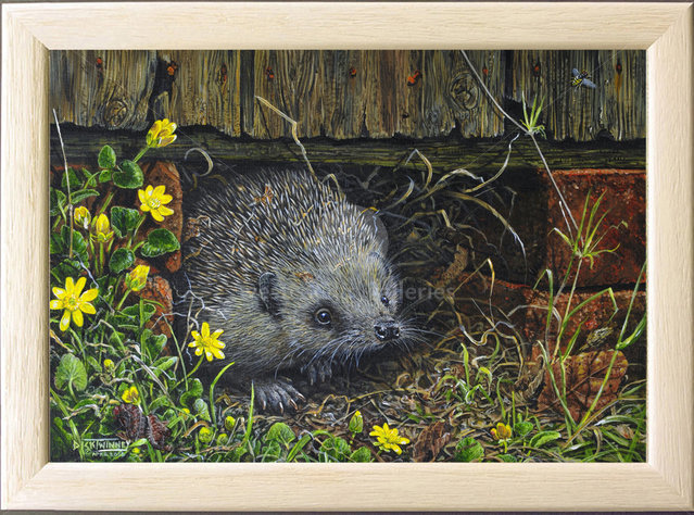 Image of Spring Emergence ~ Hedgehog & Celandines